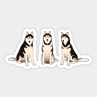 Husky Dogs Sticker